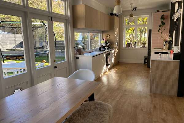 House sit in Dunedin, New Zealand