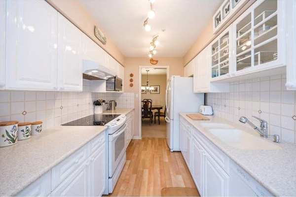 House sit in North Vancouver, BC, Canada