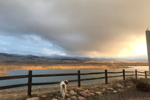 House sit in Niwot, CO, US