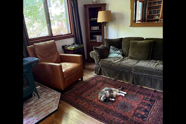 House sit in Berkeley, CA, US