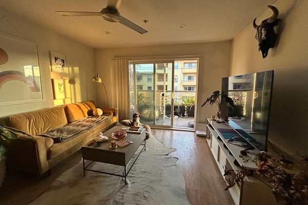 House sit in Oakland, CA, US