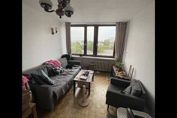 House sit in Warsaw, Poland