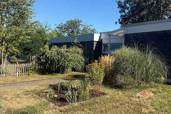 House sit in Bochum, Germany