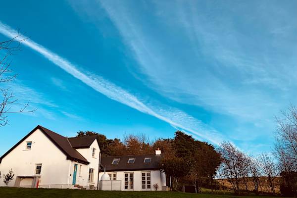 House sit in Oulart, Ireland