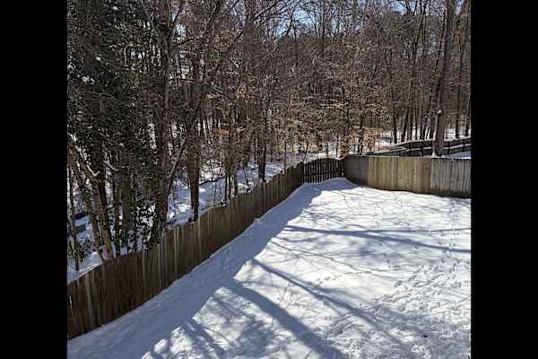 House sit in Raleigh, NC, US