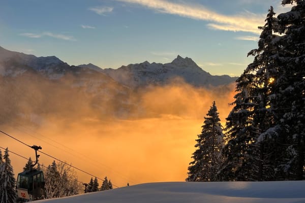 House sit in Gryon, Switzerland