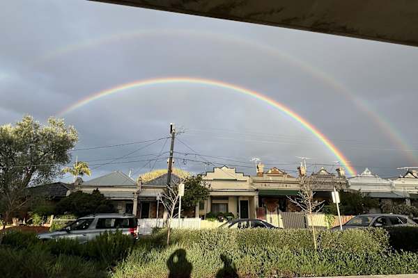 House sit in Melbourne, VIC, Australia