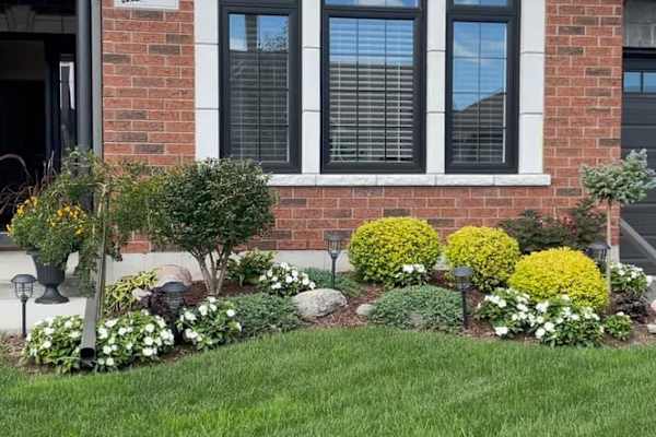 House sit in Brighton, ON, Canada