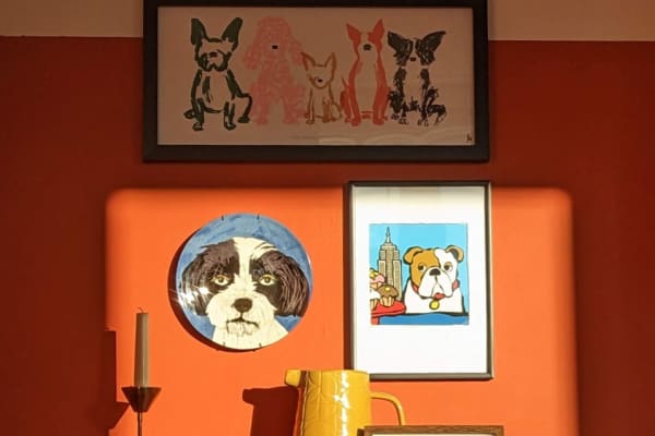 House sit in Edinburgh, United Kingdom