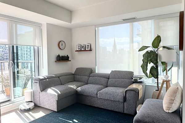 House sit in Toronto, ON, Canada