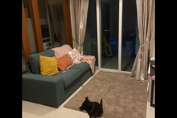 House sit in Singapore, Singapore
