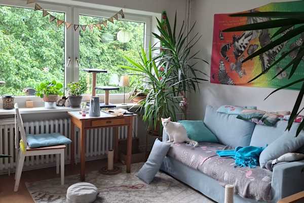 House sit in Kiel, Germany