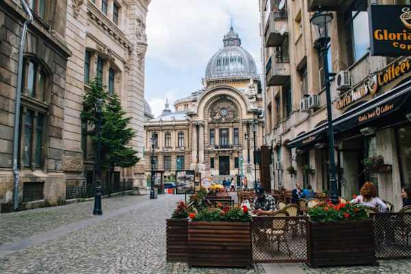 House sit in Bucharest, Romania