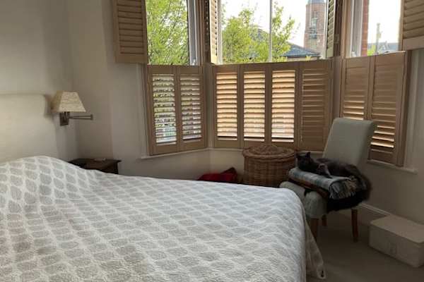 House sit in London, United Kingdom