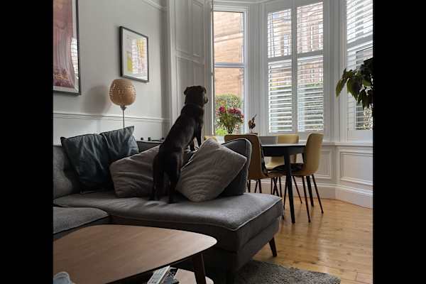 House sit in Edinburgh, United Kingdom
