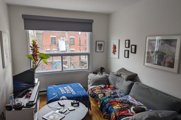 House sit in Montréal, QC, Canada