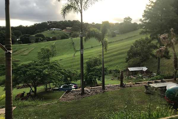 House sit in Sunshine Coast, QLD, Australia
