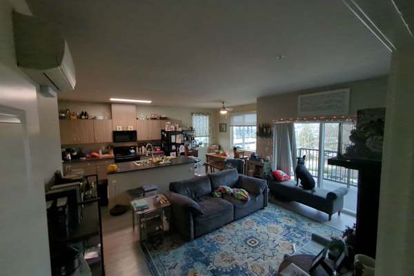 House sit in Renton, WA, US