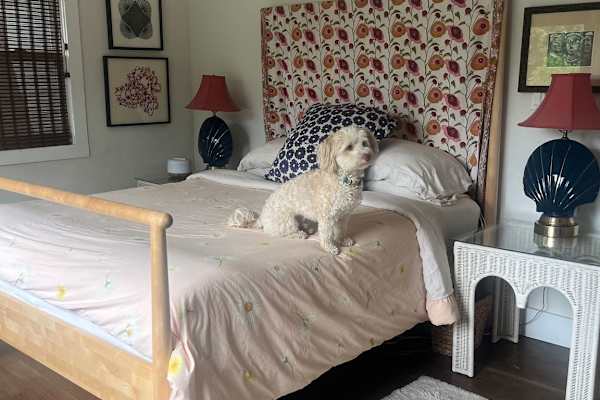 House sit in Hood River, OR, US