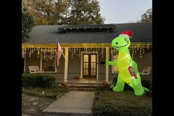 House sit in Dallas, TX, US