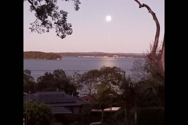 House sit in Newcastle, NSW, Australia
