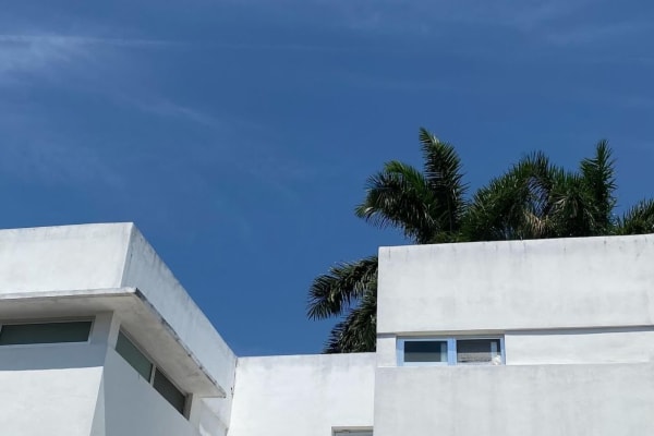 House sit in Mérida, Mexico