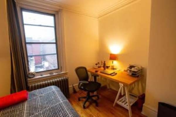 House sit in Montréal, QC, Canada