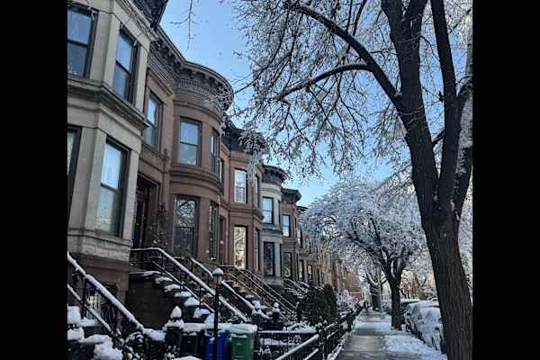 House sit in Brooklyn, NY, US