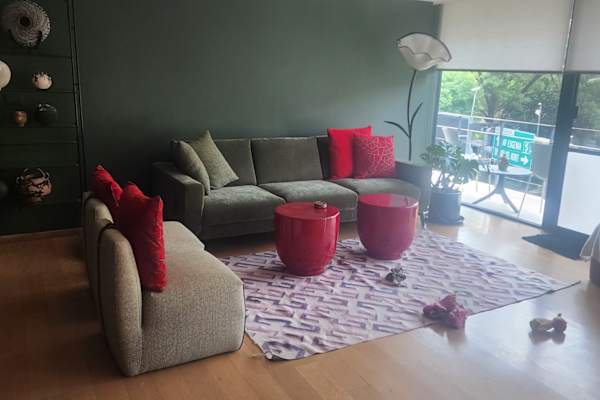 House sit in Mexico City, Mexico