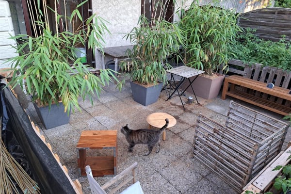 House sit in Grenoble, France