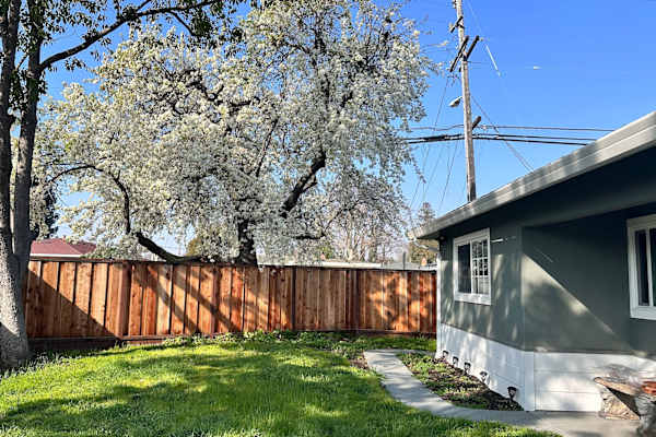 House sit in Concord, CA, US