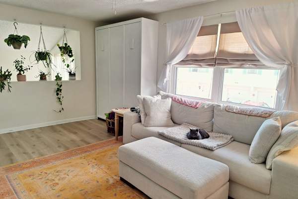 House sit in St. Petersburg, FL, US