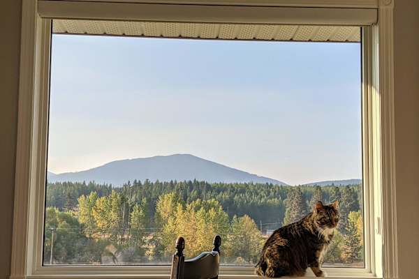 House sit in Cranbrook, BC, Canada