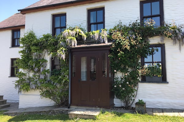 House sit in Llangranog, United Kingdom