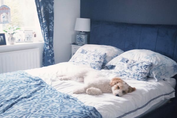 House sit in Manchester, United Kingdom