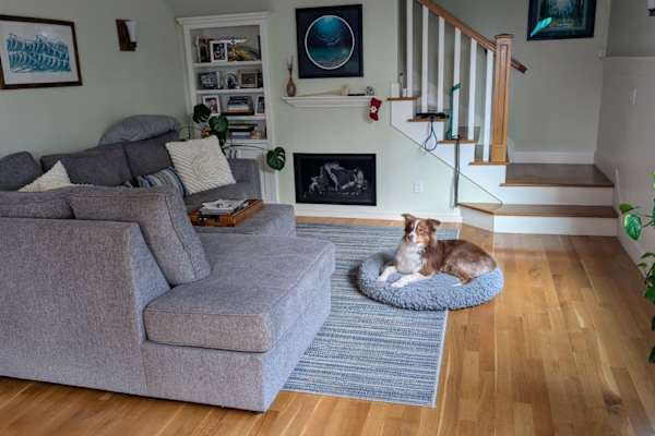 House sit in Capitola, CA, US