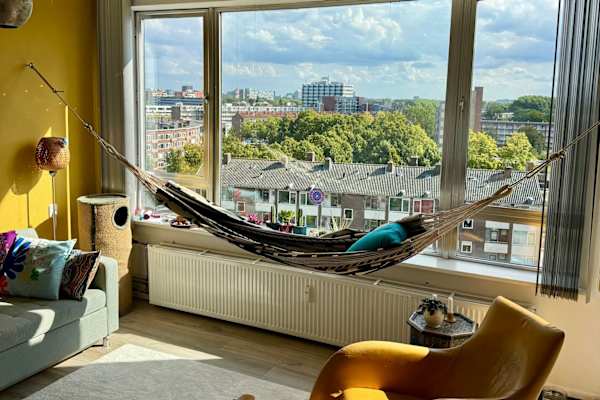 House sit in Amsterdam, Netherlands