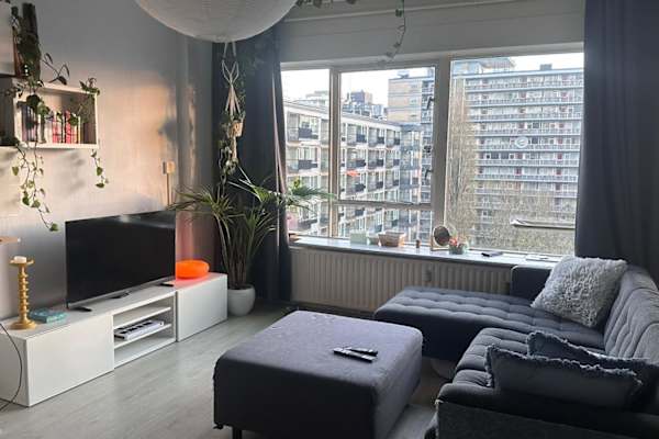 House sit in Rotterdam, Netherlands