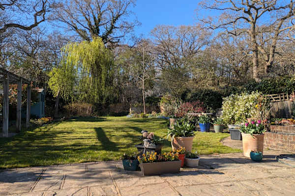 House sit in Ashtead, United Kingdom