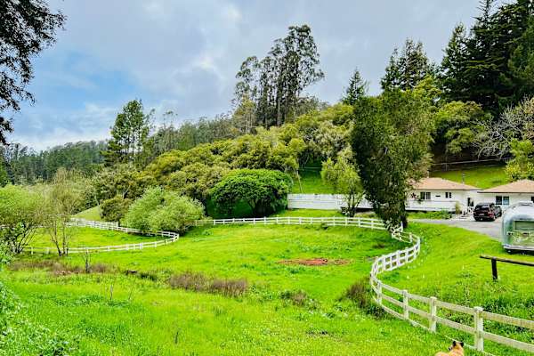 House sit in Aptos Hills-Larkin Valley, CA, US