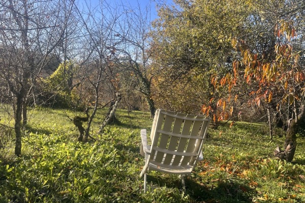 House sit in Montagrier, France