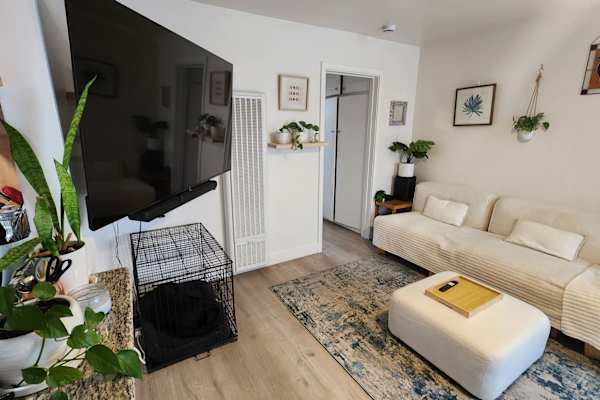 House sit in Venice Beach, CA, US