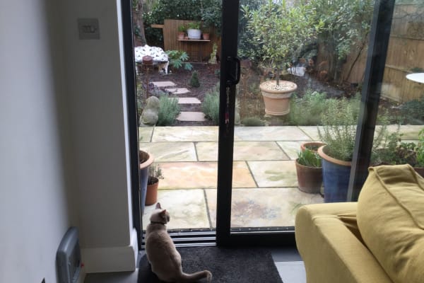 House sit in Balham, United Kingdom