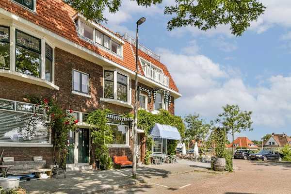 House sit in Rotterdam, Netherlands