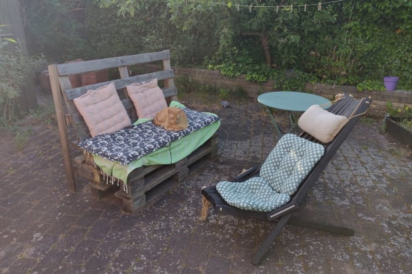 House sit in Copenhagen, Denmark