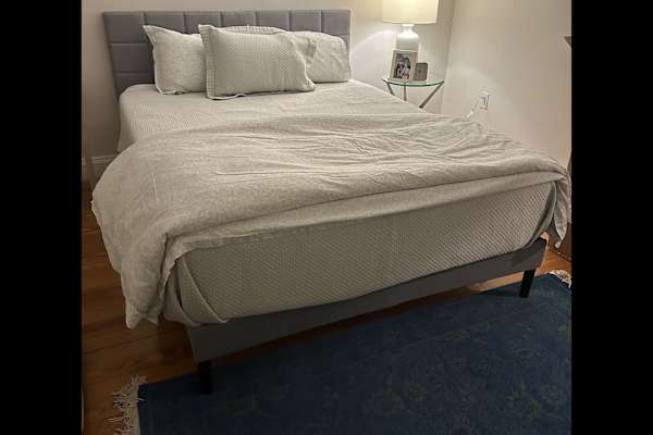 House sit in Somerville, MA, US