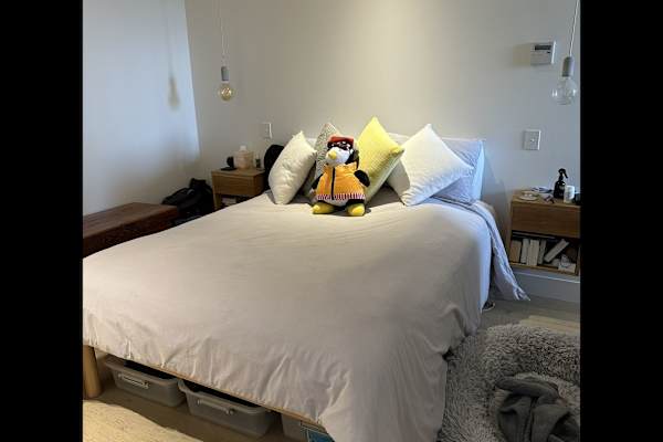 House sit in Melbourne, VIC, Australia