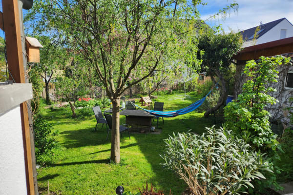 House sit in Freiburg, Germany