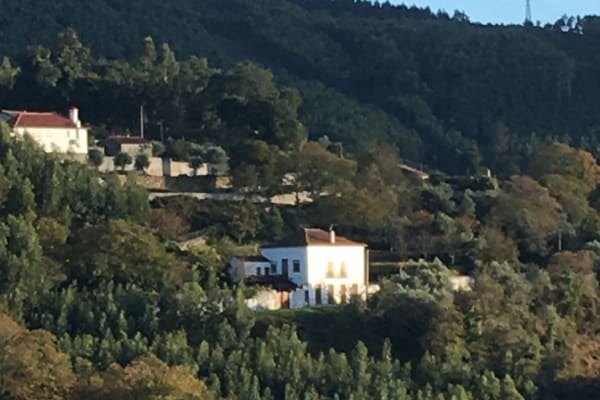 House sit in Espinhal, Portugal