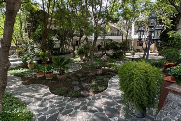House sit in San Miguel de Allende, Mexico